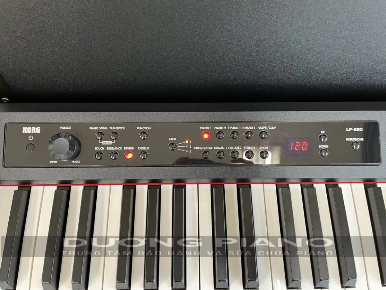 KORG LP380B - Dương PIANO
