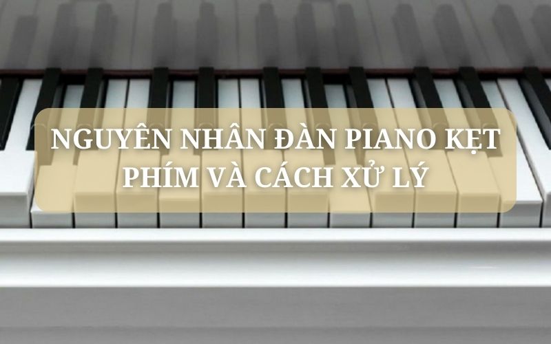 Piano Kẹt Phím và cách xử lý
