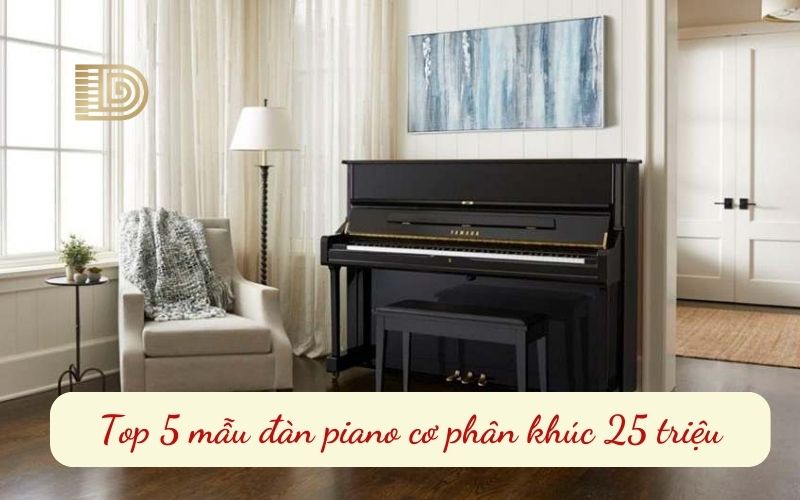 đàn piano cơ phân khúc 25 triệu