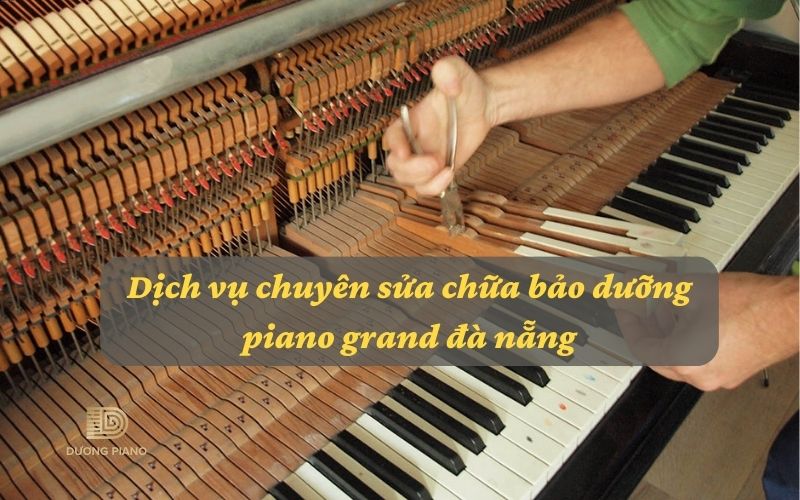 sửa chữa bảo dưỡng piano grand