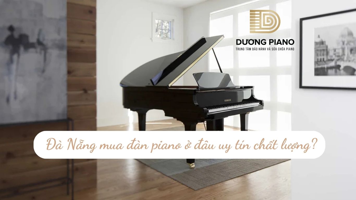 Đà Nẵng mua đàn piano ở đâu uy tín chất lượng