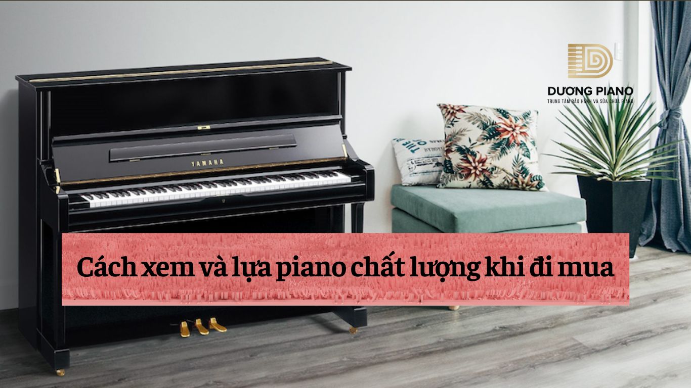 Cách xem và lựa piano chất lượng khi đi mua