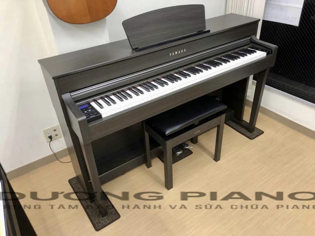 Cách xem và lựa piano chất lượng khi đi mua