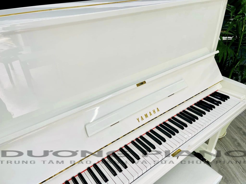 Cửa hàng chuyên bán piano uy tín
