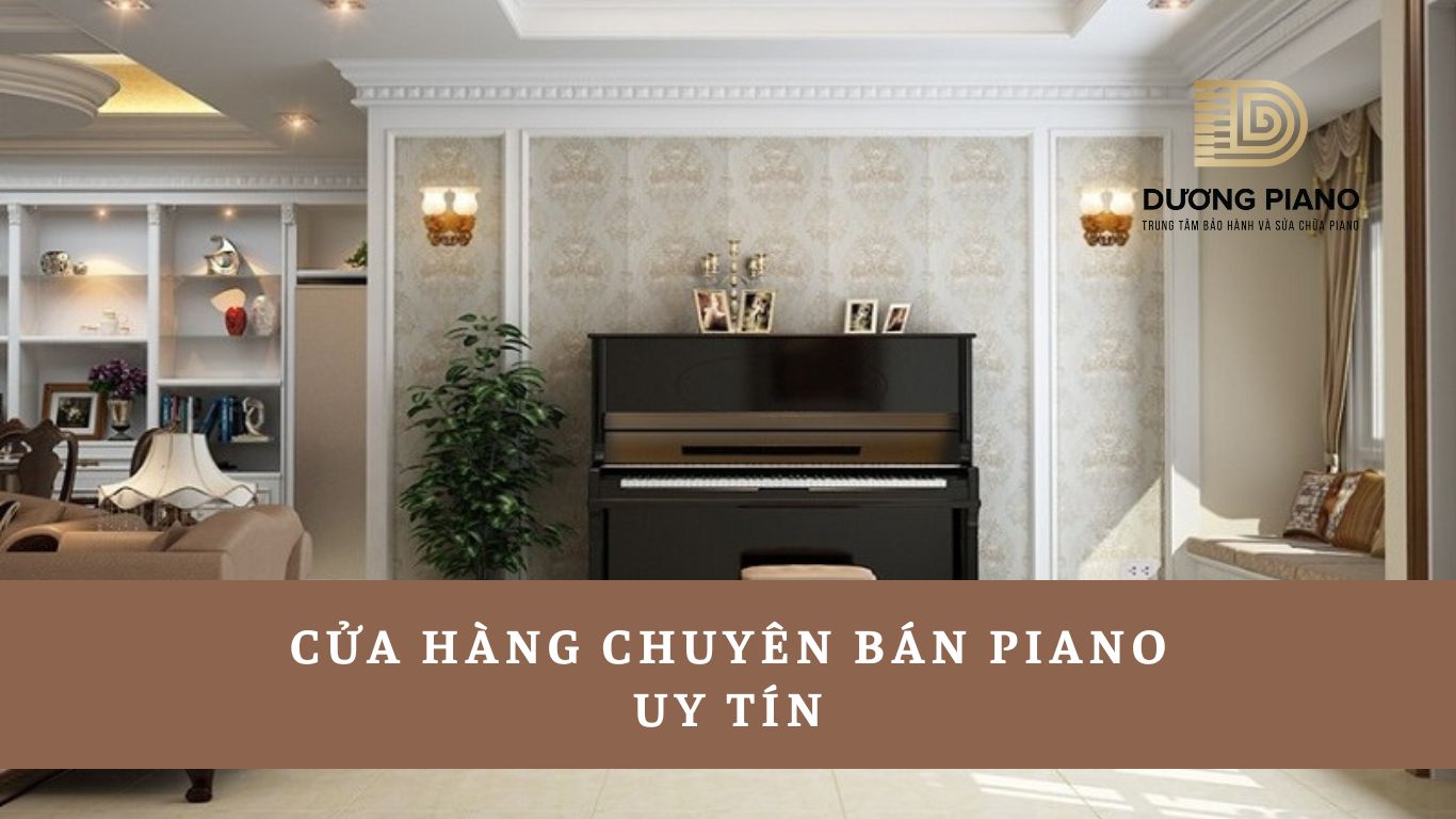 Cửa hàng chuyên bán piano uy tín