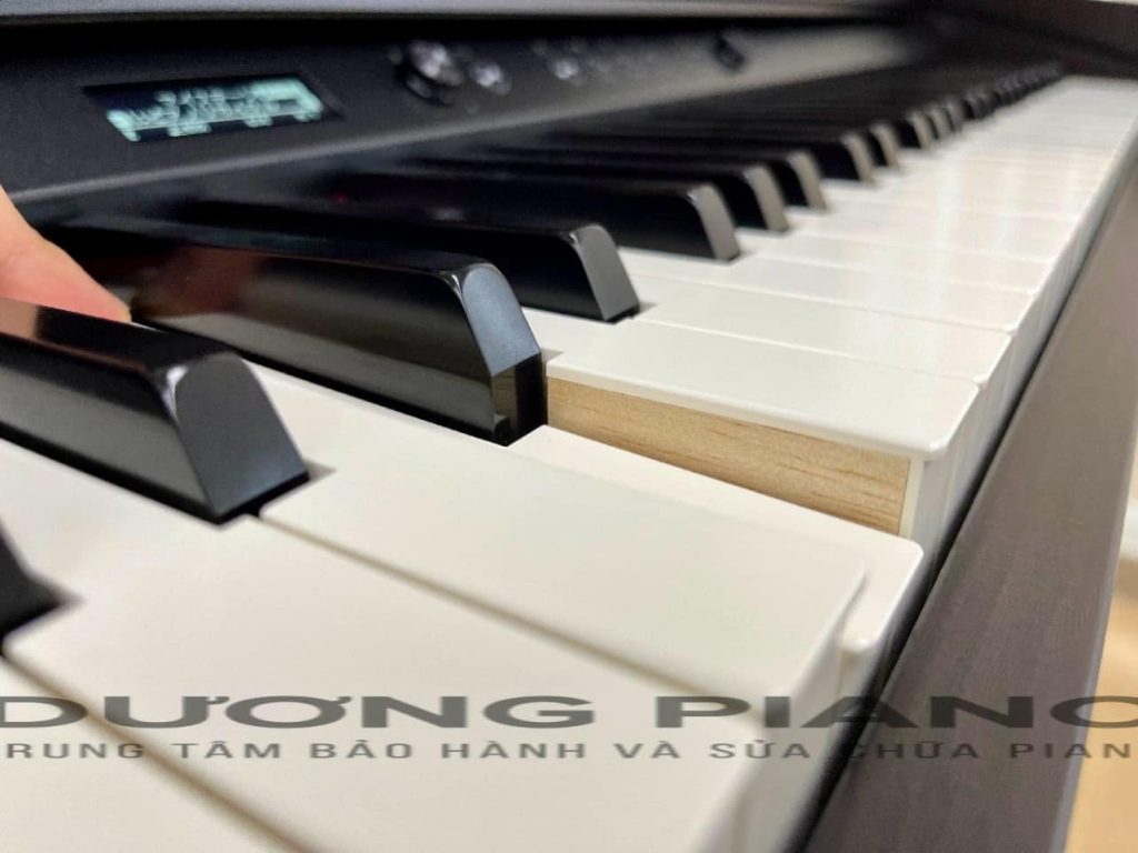 Đơn vị tư vấn bảo hành piano uy tín Đà Nẵng