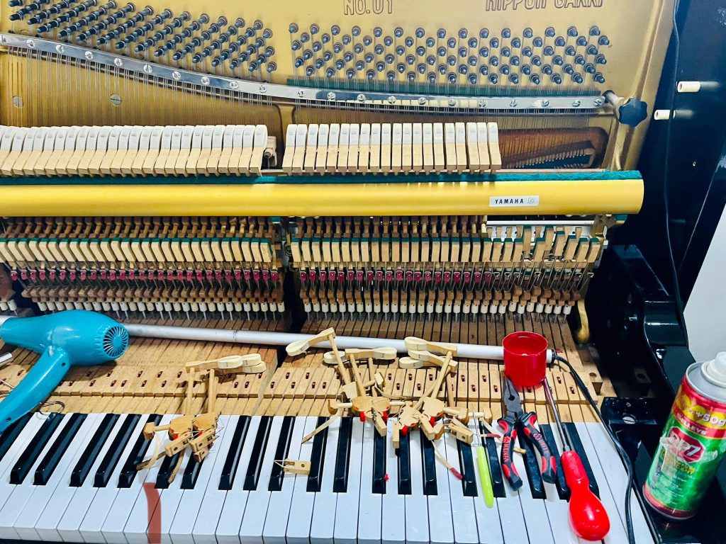 Làm sao để biết cây piano chất lượng và tốt