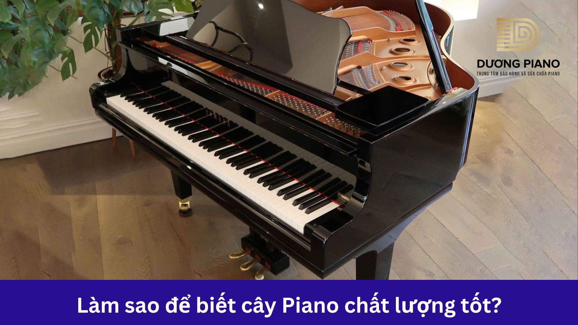 Làm sao để biết cây piano chất lượng và tốt