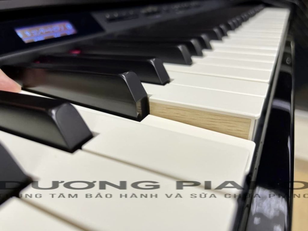 Mua piano cũ nên đi thử cảm nhận trực tiếp