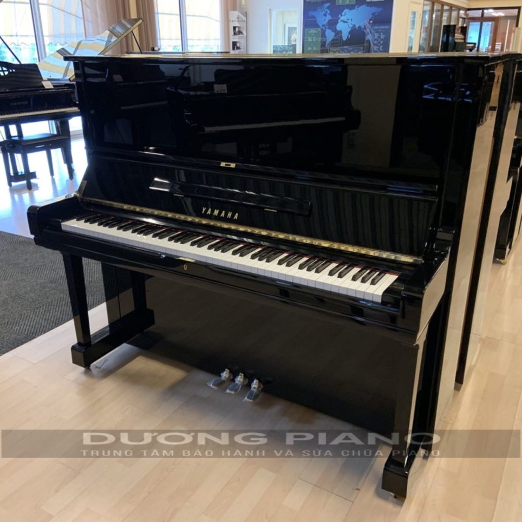 Piano size u1 - u2 - u3 khác nhau là gì