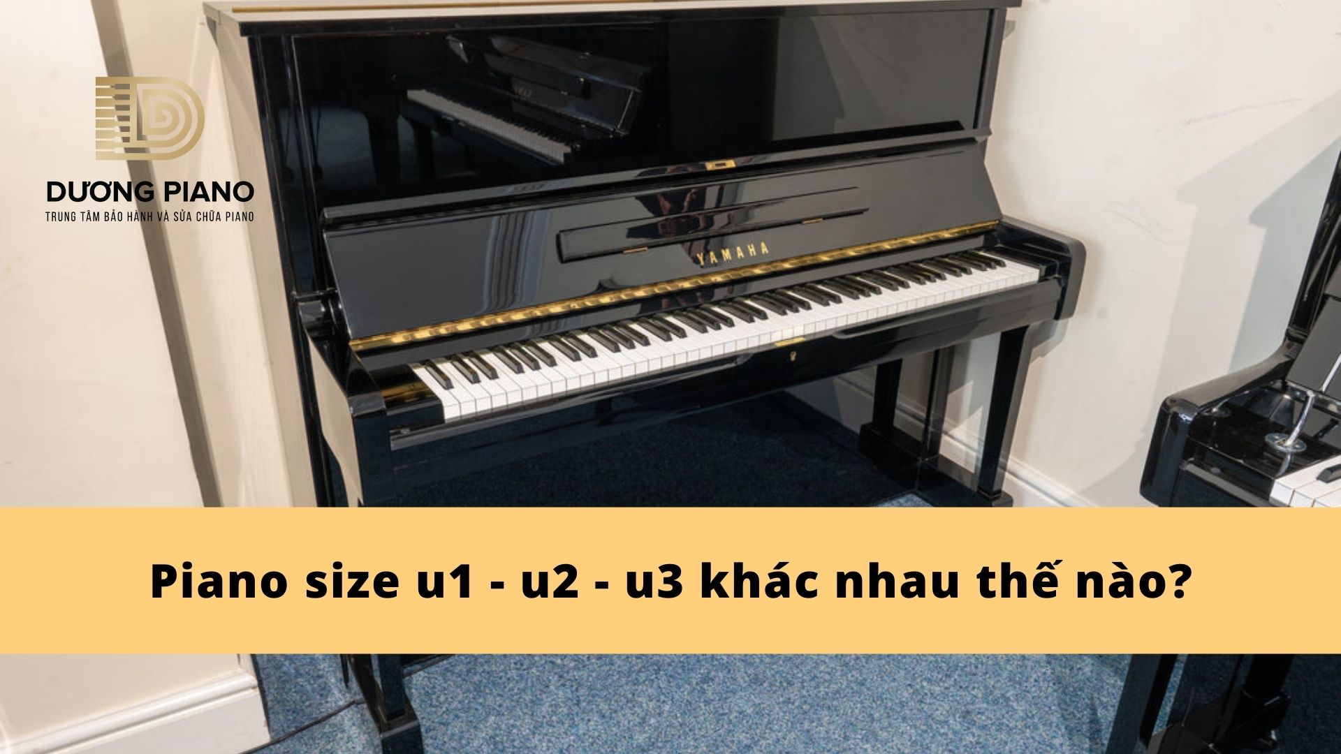 Piano size u1 - u2 - u3 khác nhau là gì