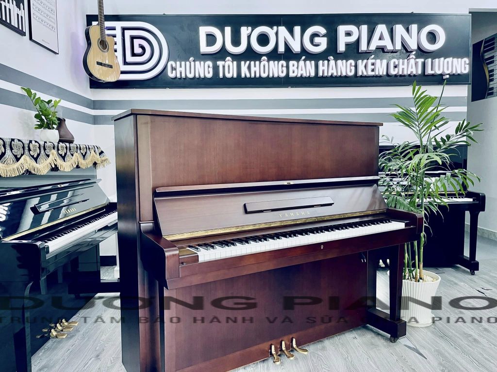 cùng 1 model piano nhưng chất lượng và giá khác nhau