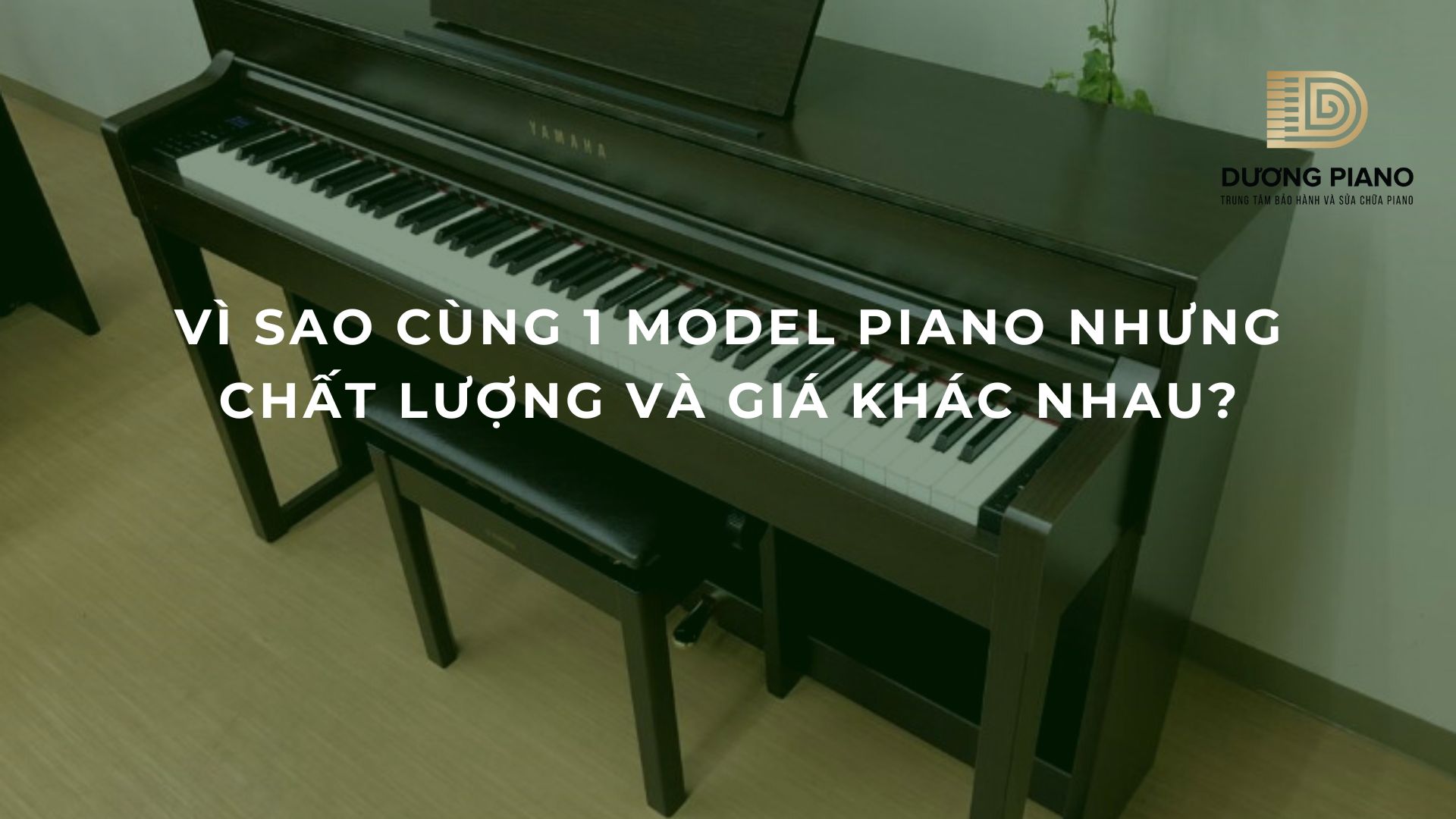 Vì sao Cùng 1 model piano nhưng chất lượng và giá khác nhau