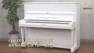 chuyên bán piano cơ Đà Nẵng giá tốt