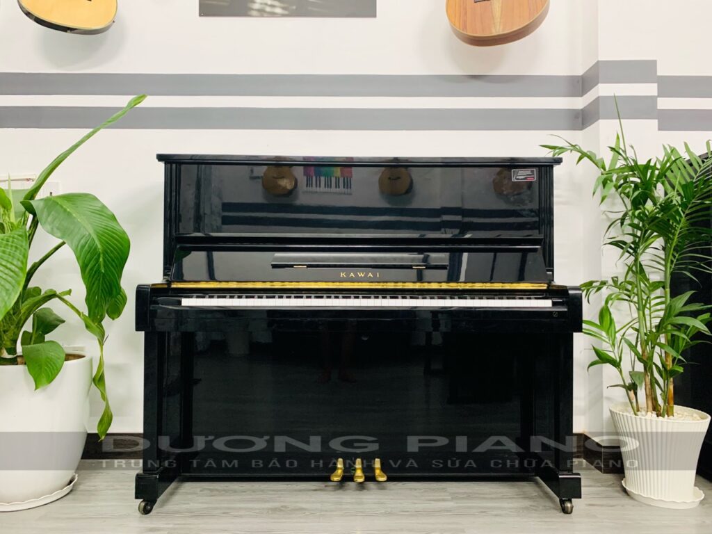 cung cấp piano giá rẻ tại Hòa Vang