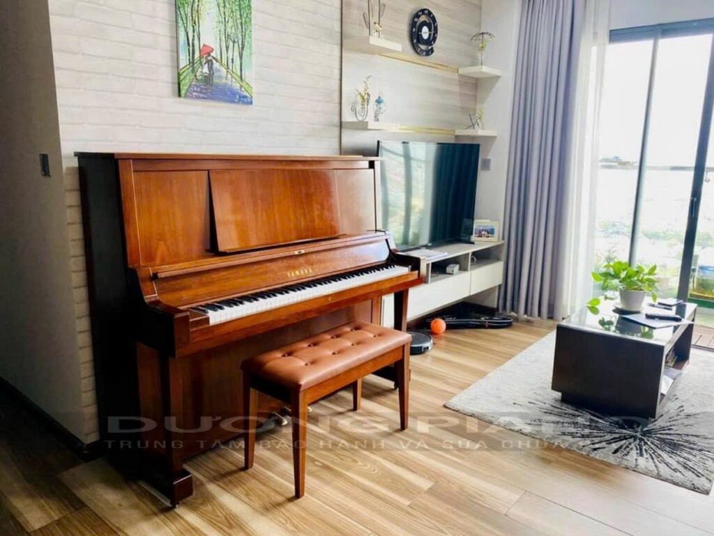 cung cấp piano giá rẻ tại Hòa Vang