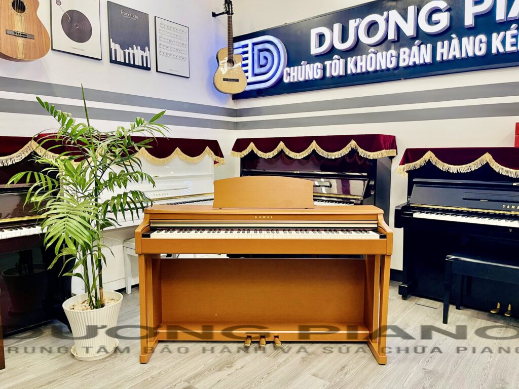 địa chỉ bán piano chất lượng tại Sơn Trà
