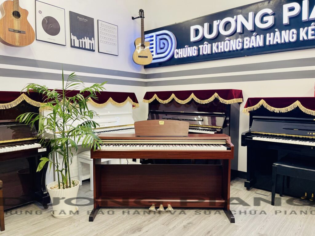 mua piano chất lượng tại Liên Chiểu