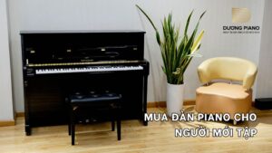 mua đàn piano cho người mới tập