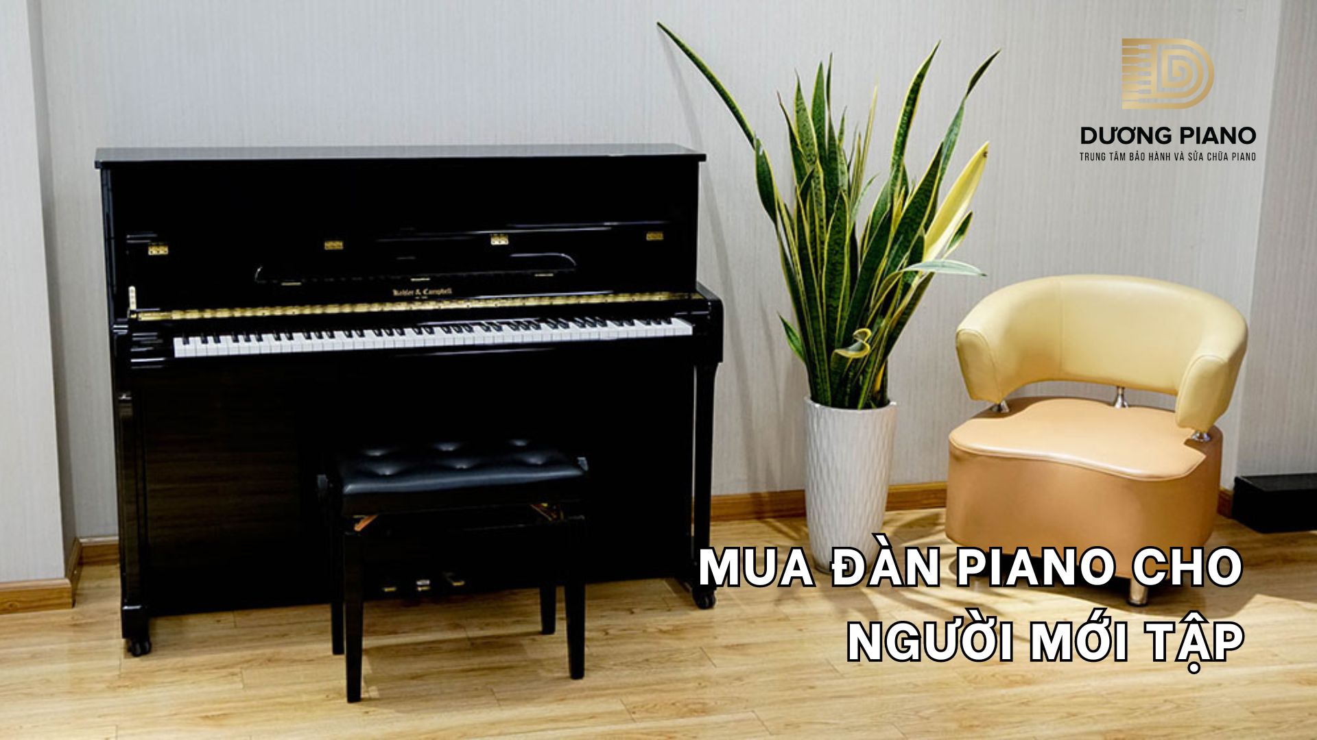 mua đàn piano cho người mới tập