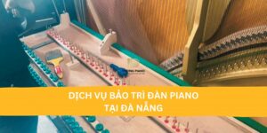 dịch vụ bảo trì đàn Piano tại Đà Nẵng