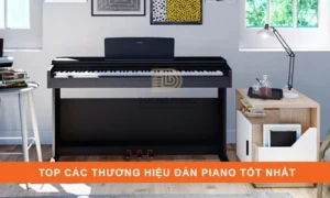 các thương hiệu đàn piano