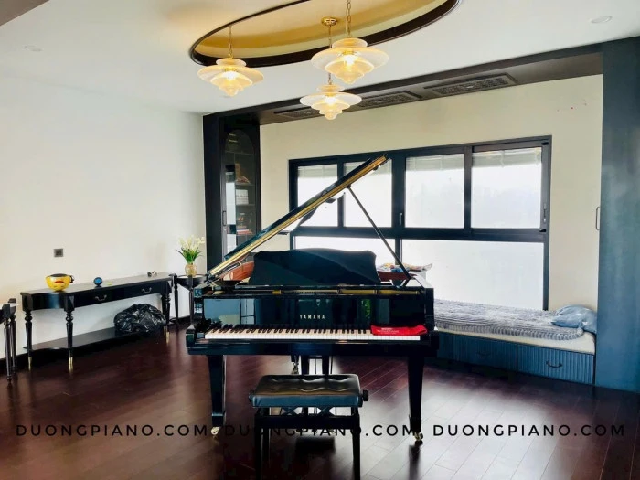 mẫu đàn piano đẹp giá tốt