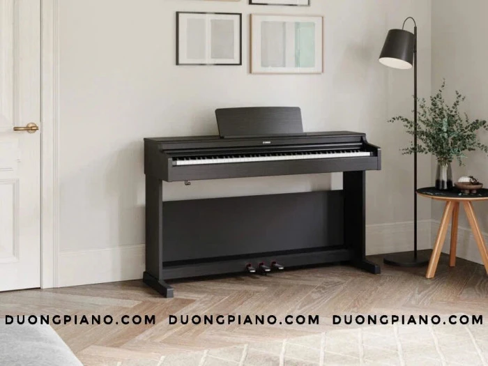 đàn piano cho bé 10 tuổi 