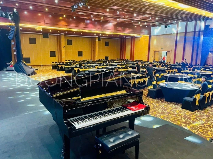 cho thuê đàn grand piano