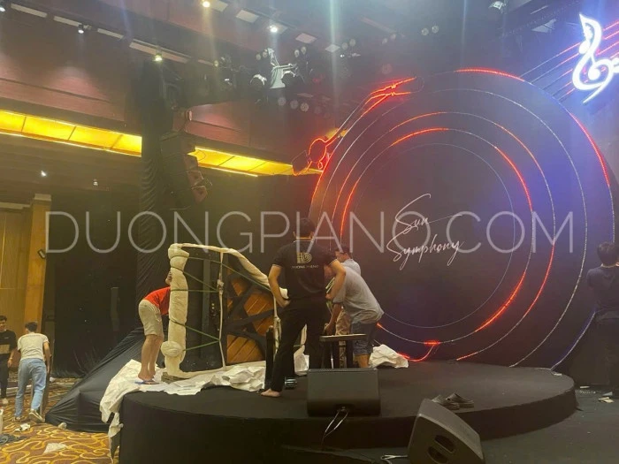 cho thuê đàn grand piano