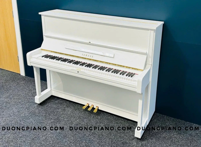 đàn piano giá rẻ nhất Đà Nẵng