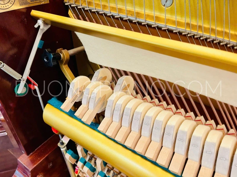 dịch vụ bảo dưỡng piano tại Cẩm Lệ 