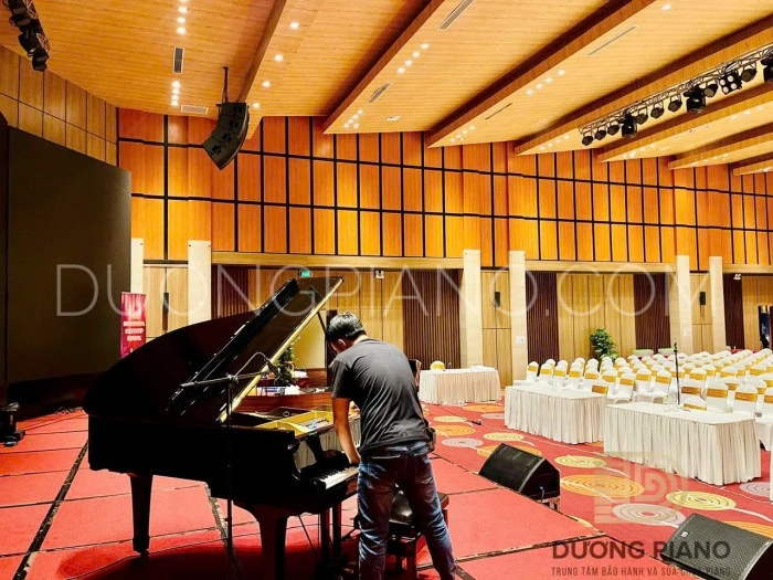 dịch vụ cho thuê đàn piano giá rẻ 