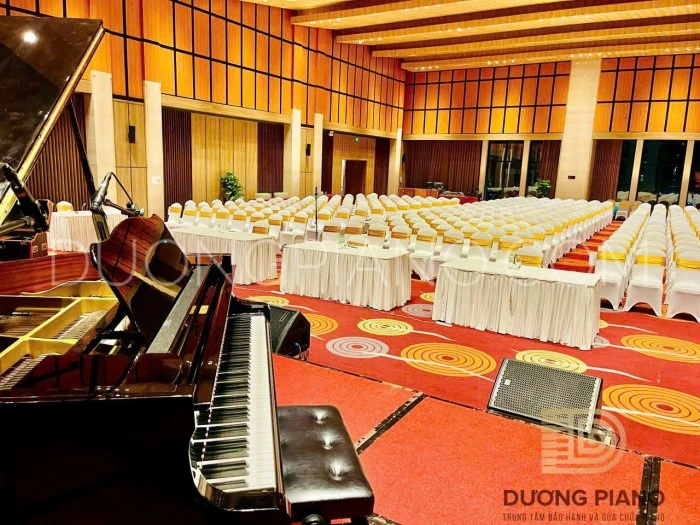 thuê đàn piano đà nẵng 