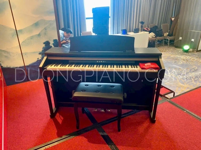 thuê đàn piano đà nẵng 