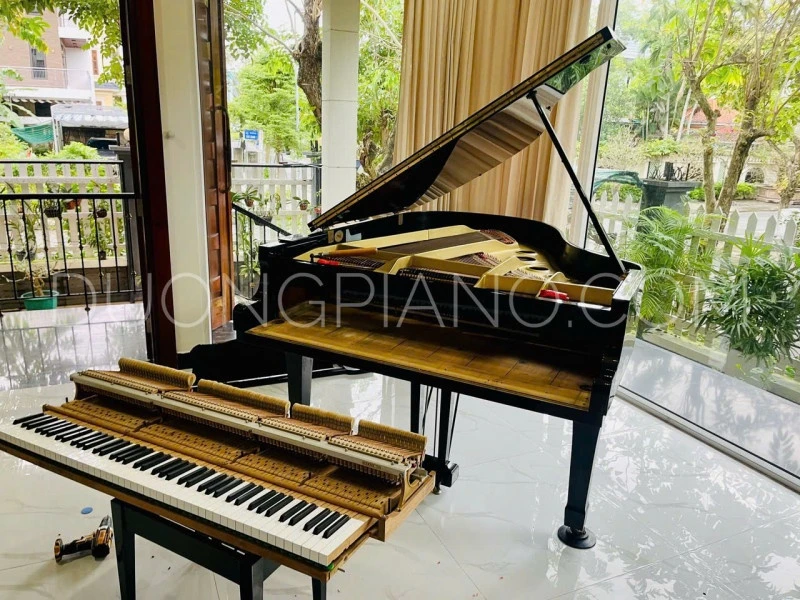 dịch vụ sửa đàn piano cơ tại nhà