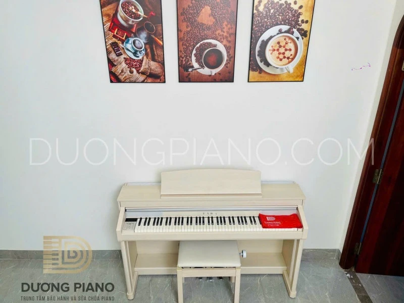 mẫu đàn piano dưới 20 triệu 
