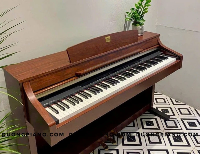 đàn piano có bao nhiêu phím 