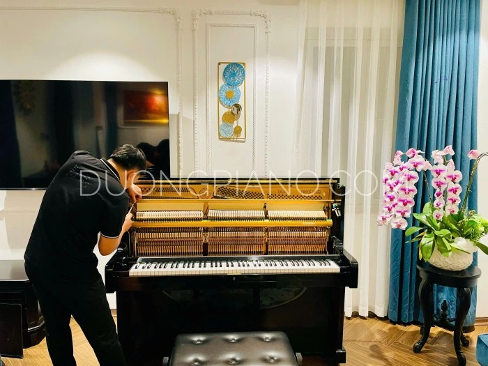 dịch vụ bảo dưỡng piano chất lượng ở Liên Chiểu 