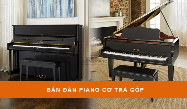 bán đàn piano cơ trả góp