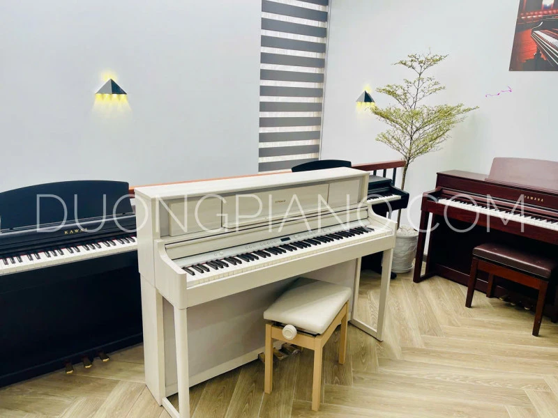 đàn piano điện quảng trị