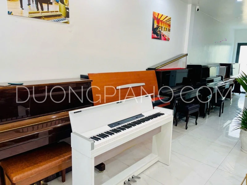 mua đàn piano quảng trị 
