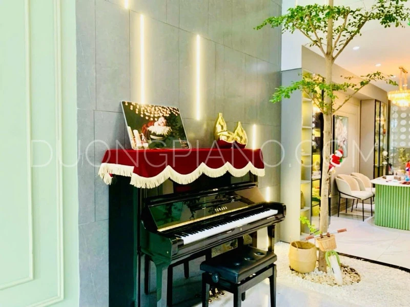 mua piano cơ ở huế 