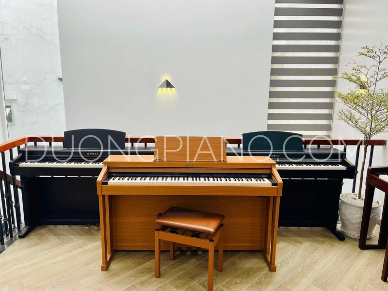 mua piano quảng bình
