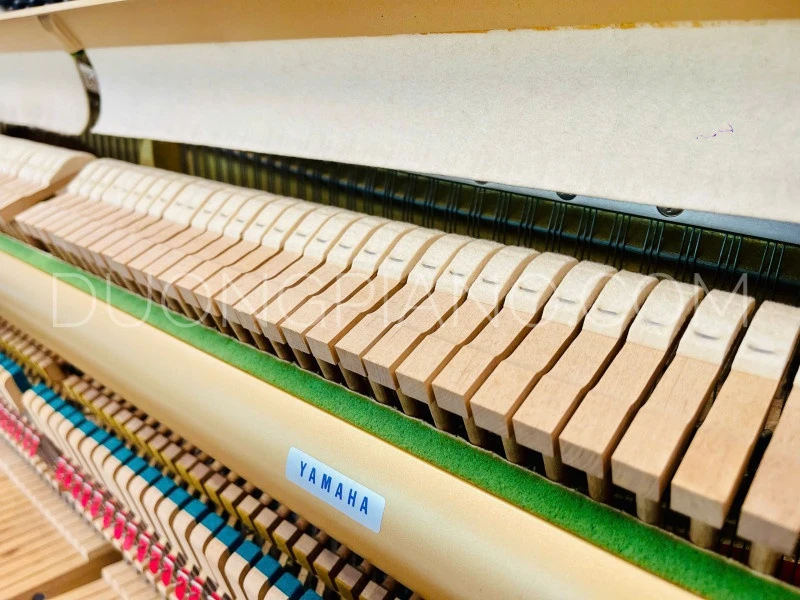 mua piano tam kì quảng nam
